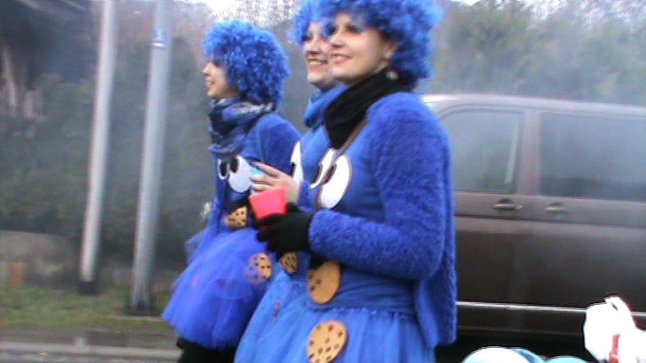 Diebach Faschingszug 09.02.2016 mit Hubert und Matthias Gruppe Weintrauben (3)