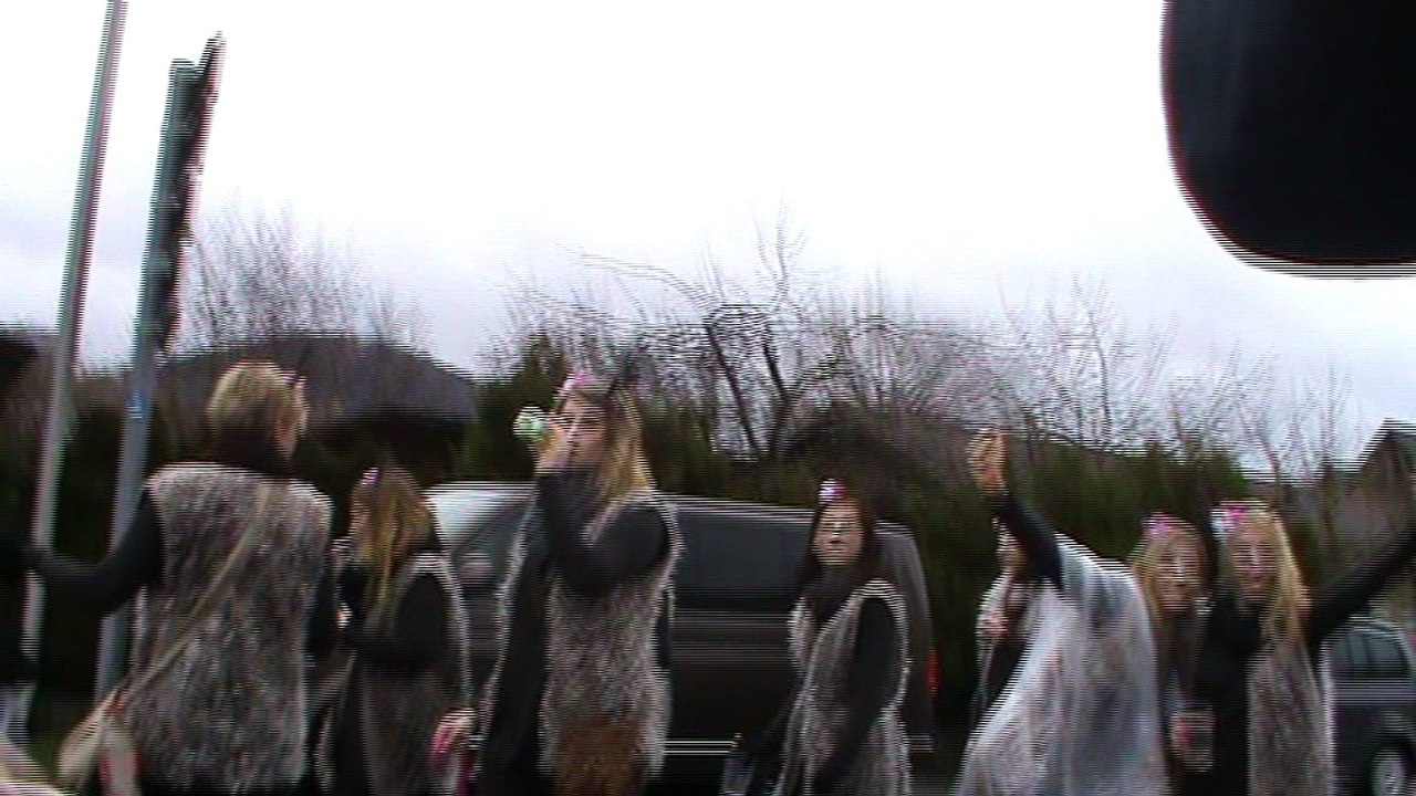 Diebach Faschingszug 09.02.2016 mit Hubert und Matthias Gruppe Weintrauben (6)