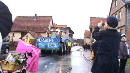 Diebach Faschingszug 09.02.2016 mit Hubert und Matthias Gruppe Weintrauben (7)