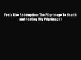 Download Feels Like Redemption: The Pilgrimage To Health and Healing (My Pilgrimage) PDF Free
