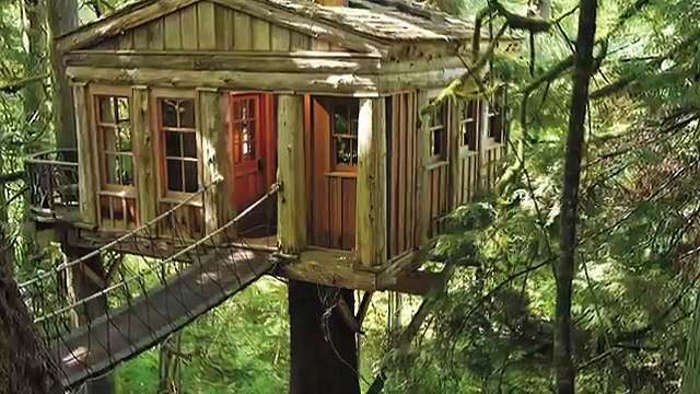 Домик на дереве