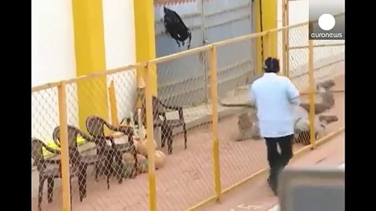 un léopard sème la terreur dans une école en (Inde)