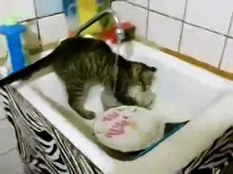 Вот такую кощку и я хочу