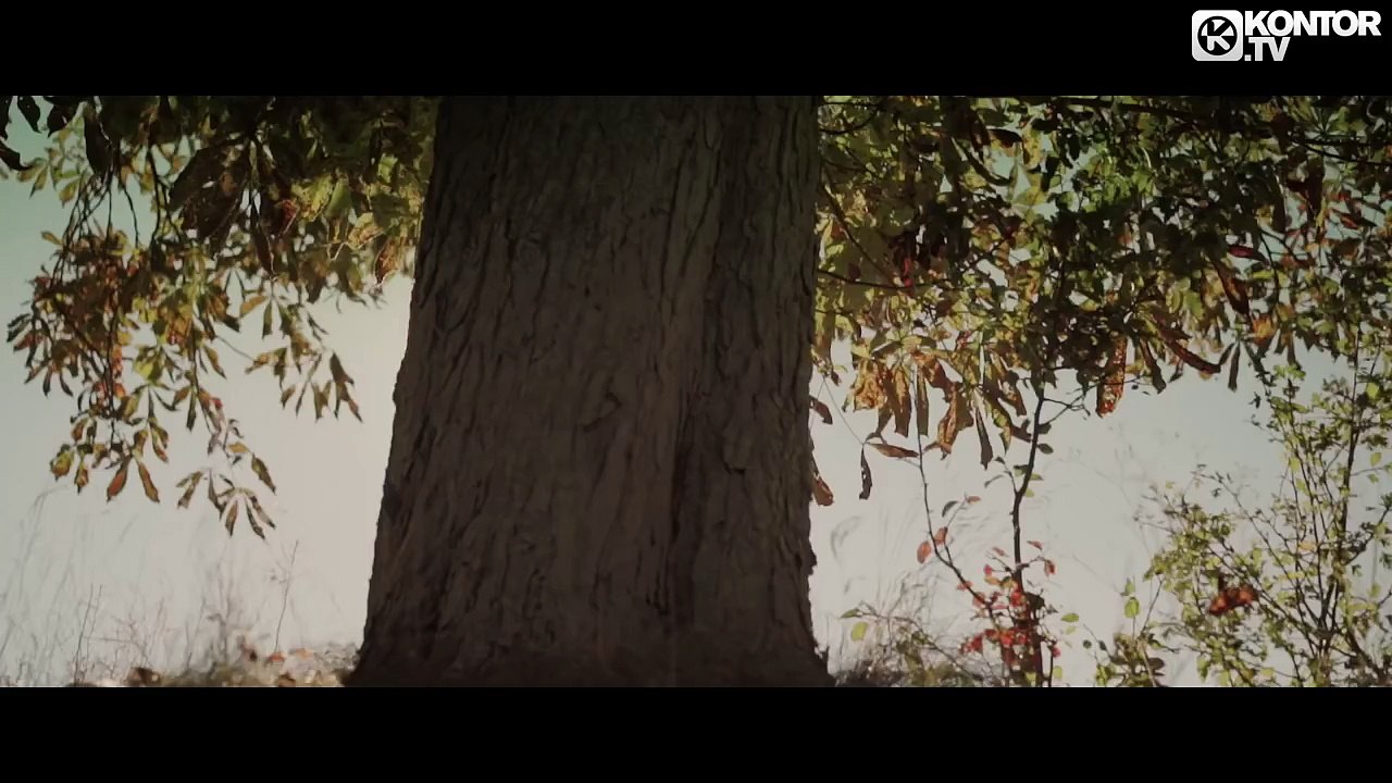 Amfree - The Sweetest Symphony (Official Video HD)
