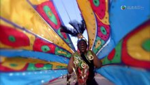 Butterflies：A Very British Obsession (2010)