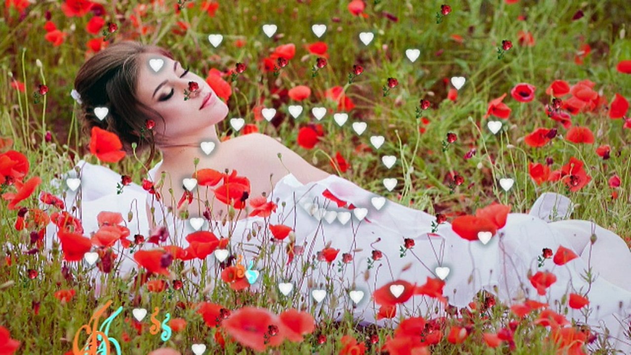 ---I Am Noddy Khan - Noddy Khan - Youngest Indian Rapper - Full Video - HD -   ch hasnain jutt       +923332766567