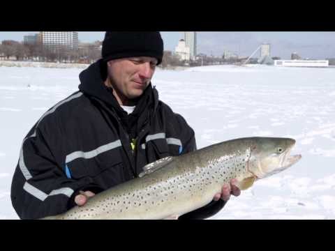 Tom Gruenwald Outdoors - Harbour Lights