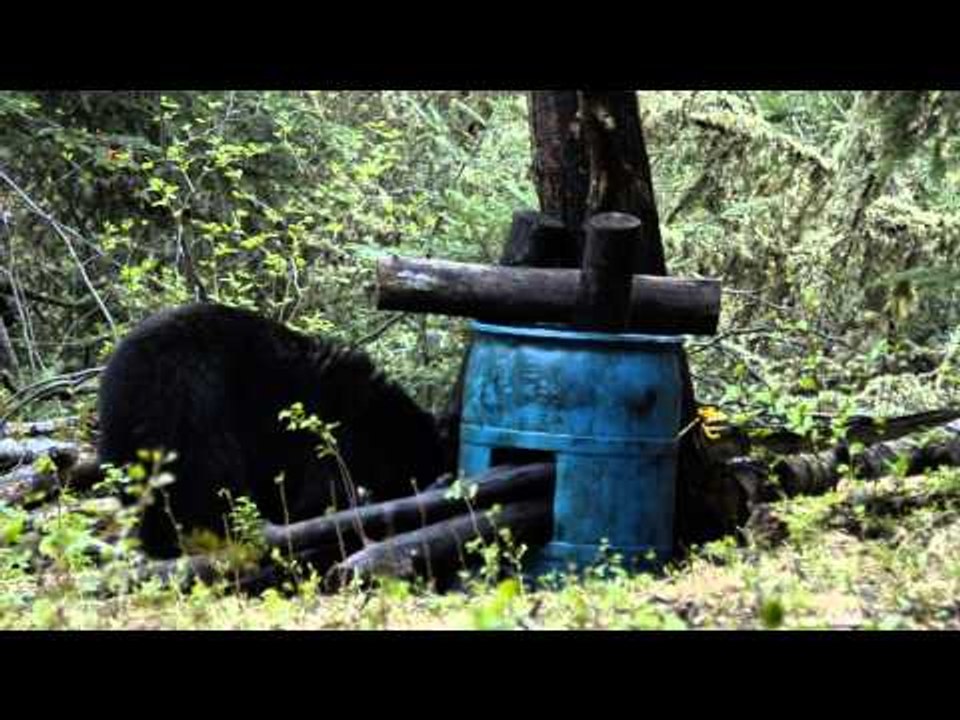 Primal Instinct - Primal Instinct