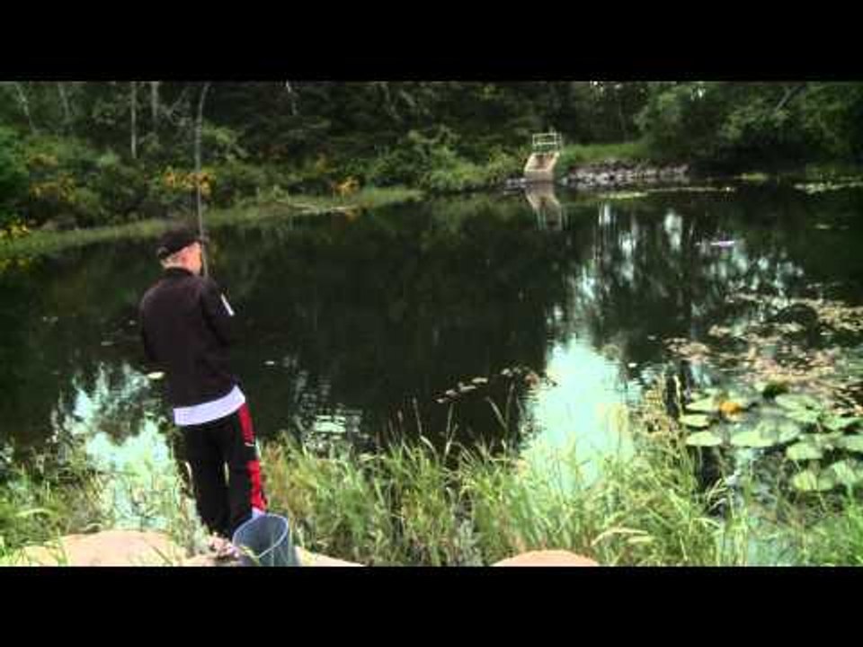 Nice Fish Jr. - Oh Brother!