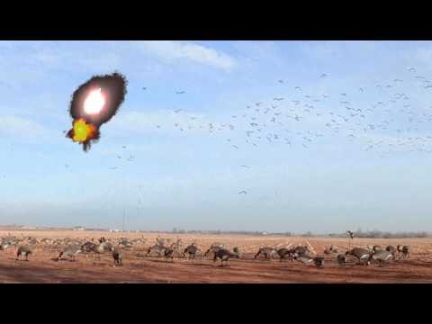 The Fowl Life - A Realtree-T Part 1