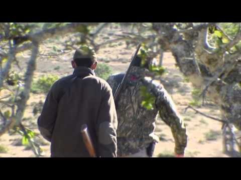 African BBQ Hunter - Mayogi Safaris