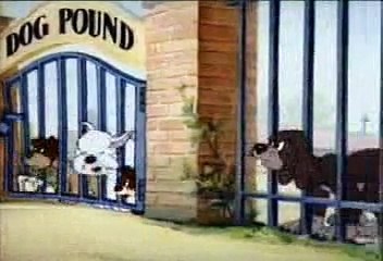 Tom-&-Jerry-Puttin-on-the-Dog-Cartoon