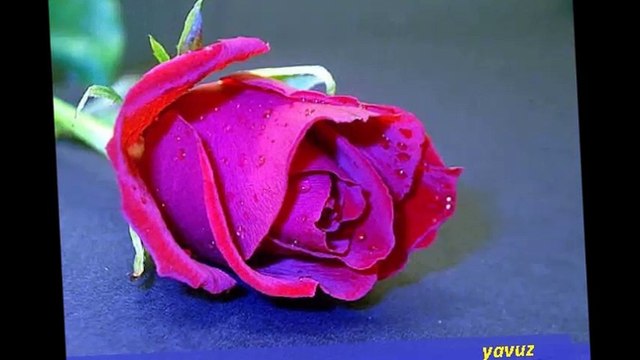 EMEL SAYIN -BIR GARIP YOLCU