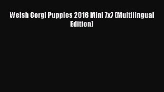 Download Welsh Corgi Puppies 2016 Mini 7x7 (Multilingual Edition) Ebook Online