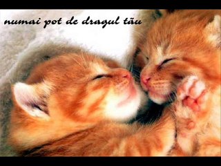 ceva super frumos de dragoste