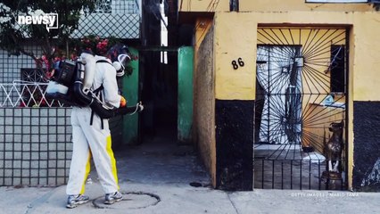 The Zika Virus Might Interrupt The 2016 Rio Olympics - Newsy