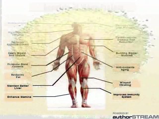 Body Buildo Weight Gainer Call 03216605501