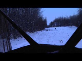 The Bone Yard - That was Easy