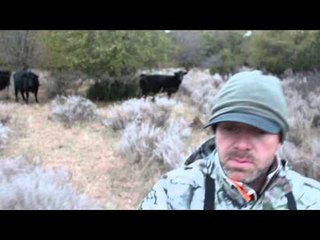 SOLO Hunter TV - Archery Bucks in the November Rut
