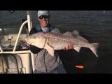 North American Fisherman  - Louisiana Redfish