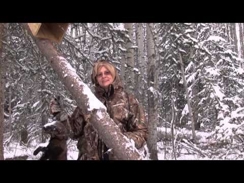 Trapping Inc. - How We Got Here