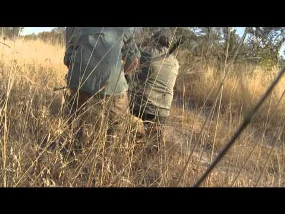 Hornady's Dark and Dangerous - Zimbabwe Leopard and Namibia Elephant