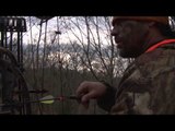 Campfire Stories - Ups and Downs of Hunting Whitetails