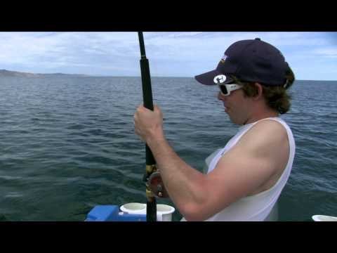 Fatal Impact Outdoors - Mexico