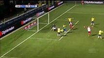 Van Der Maarel GOAL  Cambuur Leeuwarden 0-1  Utrecht  12.02.2016