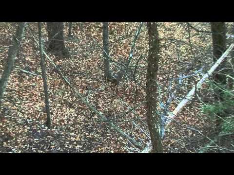 Major League Bowhunter - When It Breaks, It Breaks