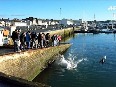 Pour porter secours aux réfugiés en Méditerranée, une ONG se forme à la survie en mer en Bretagne