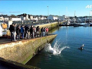 Pour porter secours aux réfugiés en Méditerranée, une ONG se forme à la survie en mer en Bretagne