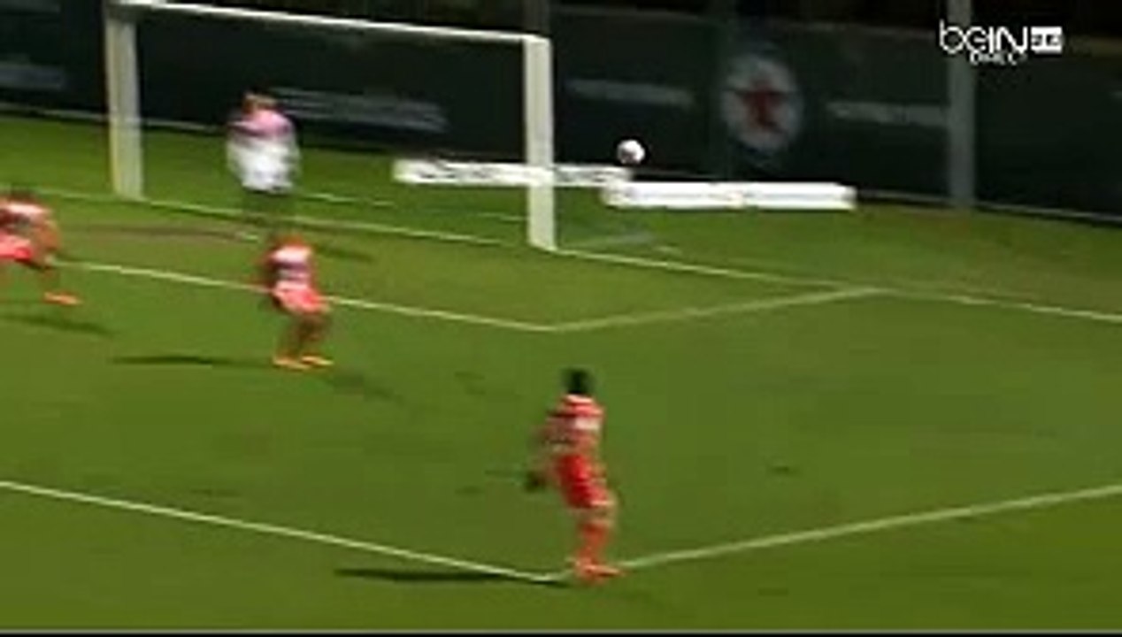 Naim Sliti Goal Red Star 2-1 Evian Thonon Gaillard 12.02.2016