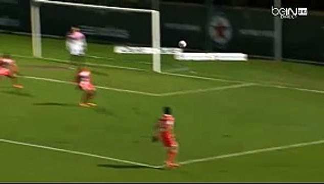 Naim Sliti Goal Red Star 2-1 Evian Thonon Gaillard 12.02.2016