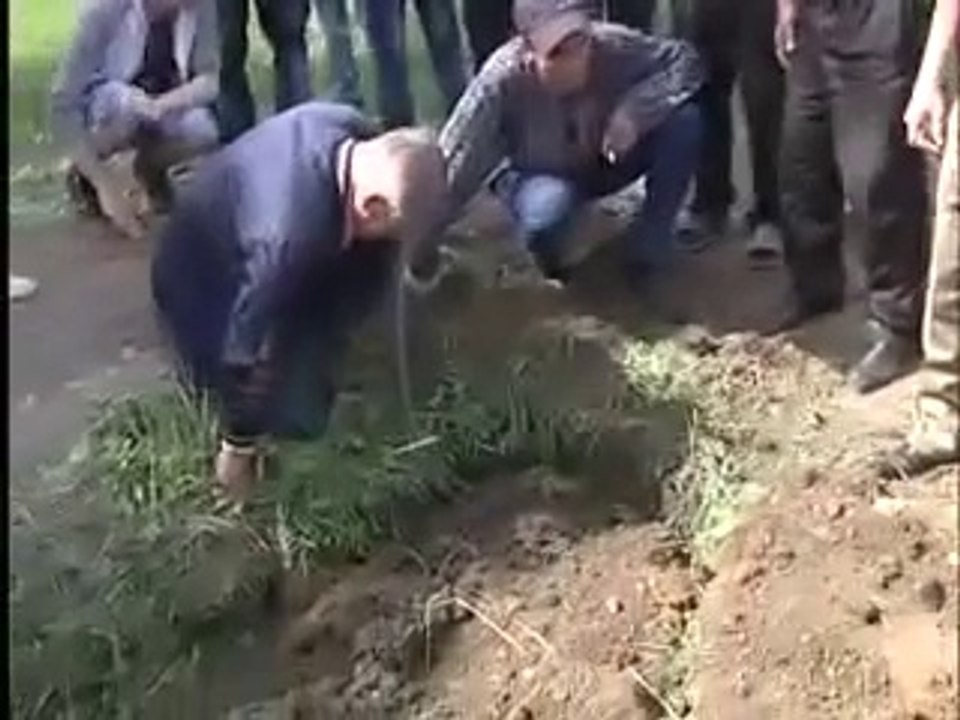 Вылез из могилы у всех на глазах, офигеть!