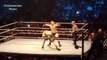 Brock Lesnar vs Sheamus _ Brock Lesnar Returns 2016