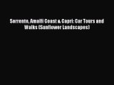 PDF Sorrento Amalfi Coast & Capri: Car Tours and Walks (Sunflower Landscapes)  EBook