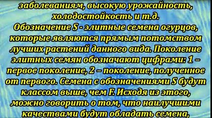 Как приобрести нужные семена огурцов