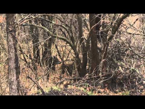 Babe Winkelman's Outdoor Secrets - Excalibur Outings in Oklahoma