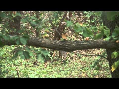 Babe Winkelman's Outdoor Secrets - Capitalizing in Kansas