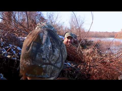 The Fowl Life - Dixieland Delight