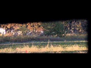 Raised Hunting - Winning