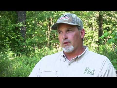 The Gamekeepers of Mossy Oak - Tips to Improve
