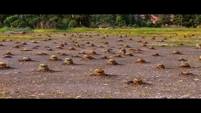 THE GOOD DINOSAUR Promo Clip - Halloween Asteroid (2015) Disney Pixar Animated Movie HD