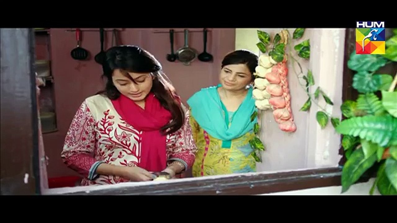 Sehra Main Safar Episode 08 HUM TV