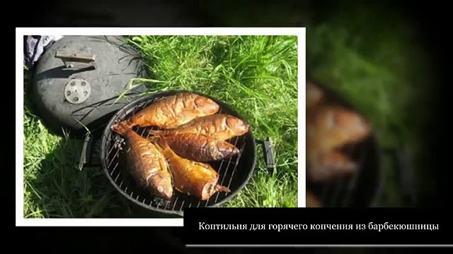 Коптильня рыбы бизнес план