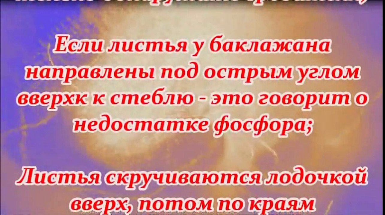 БОЛЕЗНИ БАКЛАЖАН И ИХ РЕШЕНИЕ