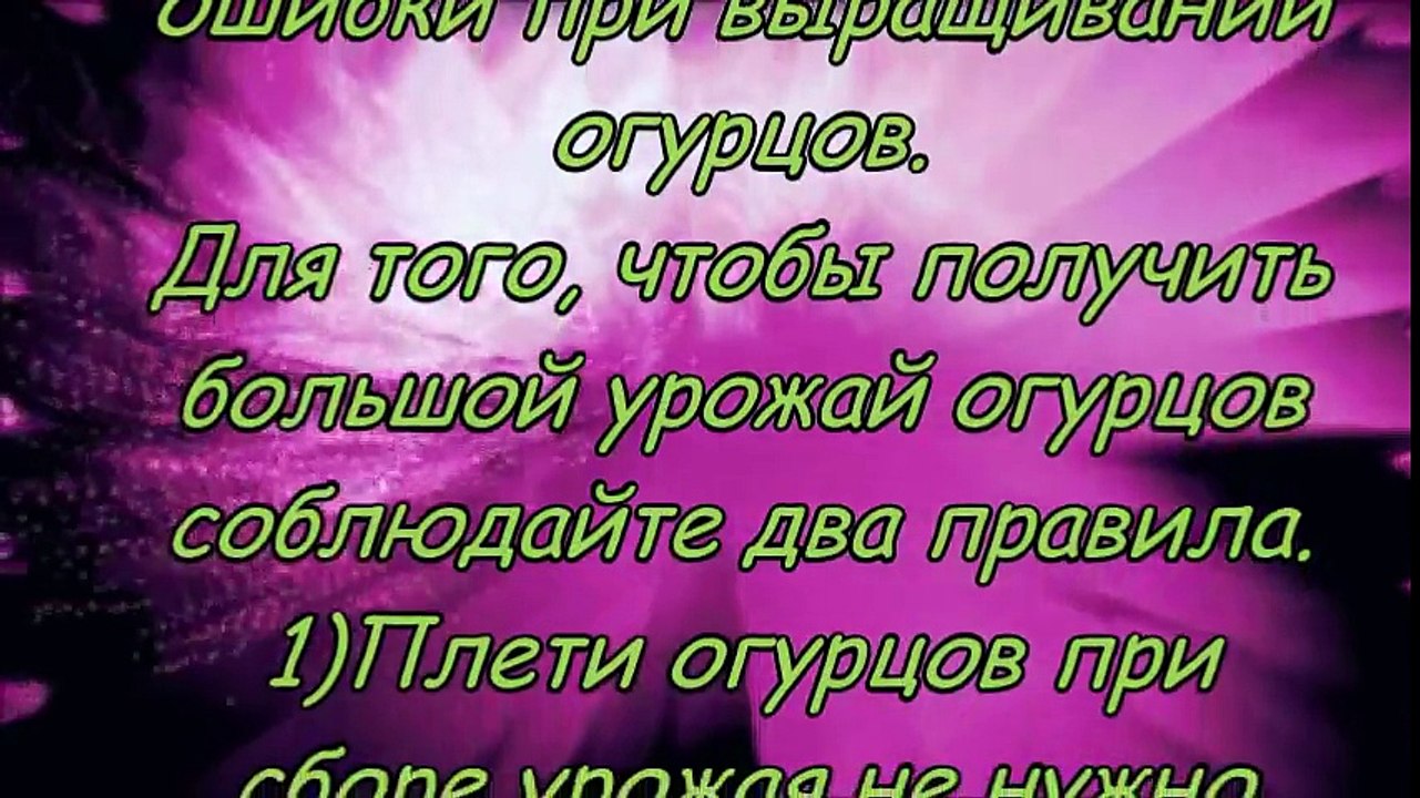 БОЛЬШОЙ УРОЖАЙ ОГУРЦОВ И ДВА ПРОСТЫХ ПРАВИЛА ДЛЯ ЭТОГО!