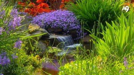 Kuran'da bildirilen temizlik anlayışı