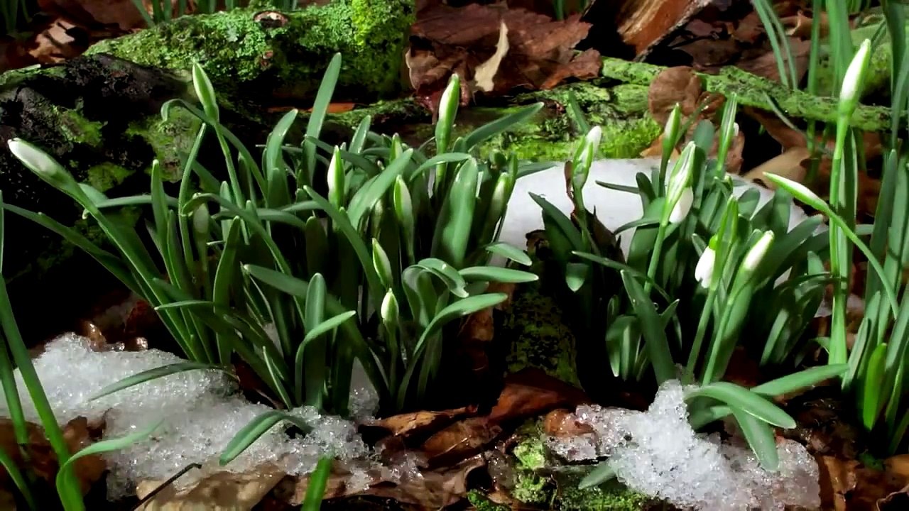 Planet Earth Most Amazing Beautiful Places HD